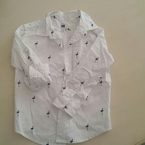 Boys Janie and Jack button down